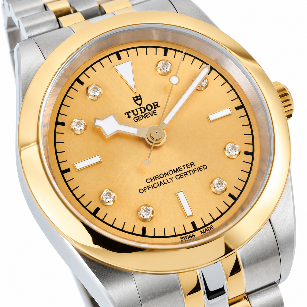 Tudor Black Bay 36mm Precision Automatic Steel Watch