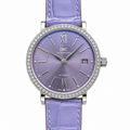 IWC Portofino 34mm Time Philosopher Automatic Steel Watch