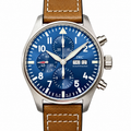 IWC Ingenieur 43mm Nuclear Nonproliferation Physicist Automatic Steel Watch