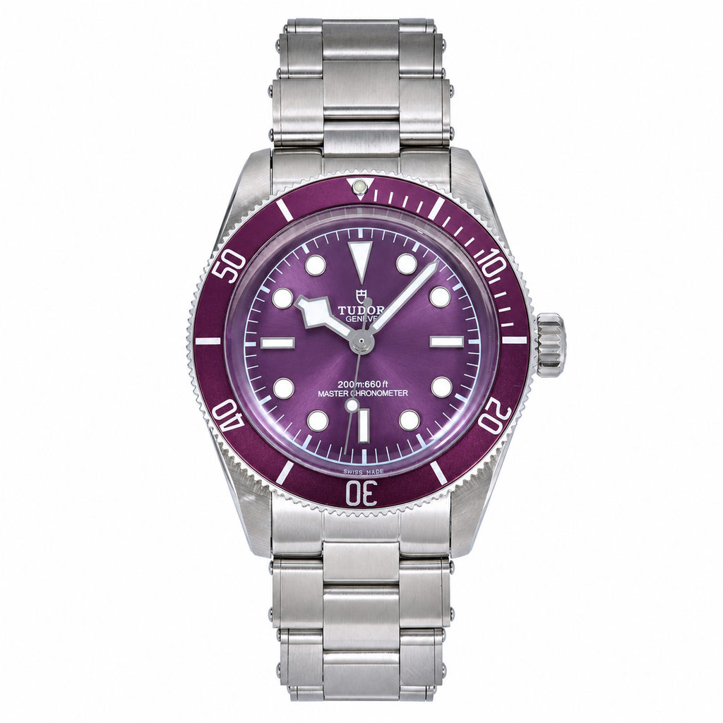Tudor Black Bay 39mm Heritage Automatic Steel Watch