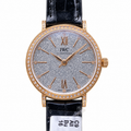 IWC Portofino 34mm Neurosurgeon Automatic Steel Watch
