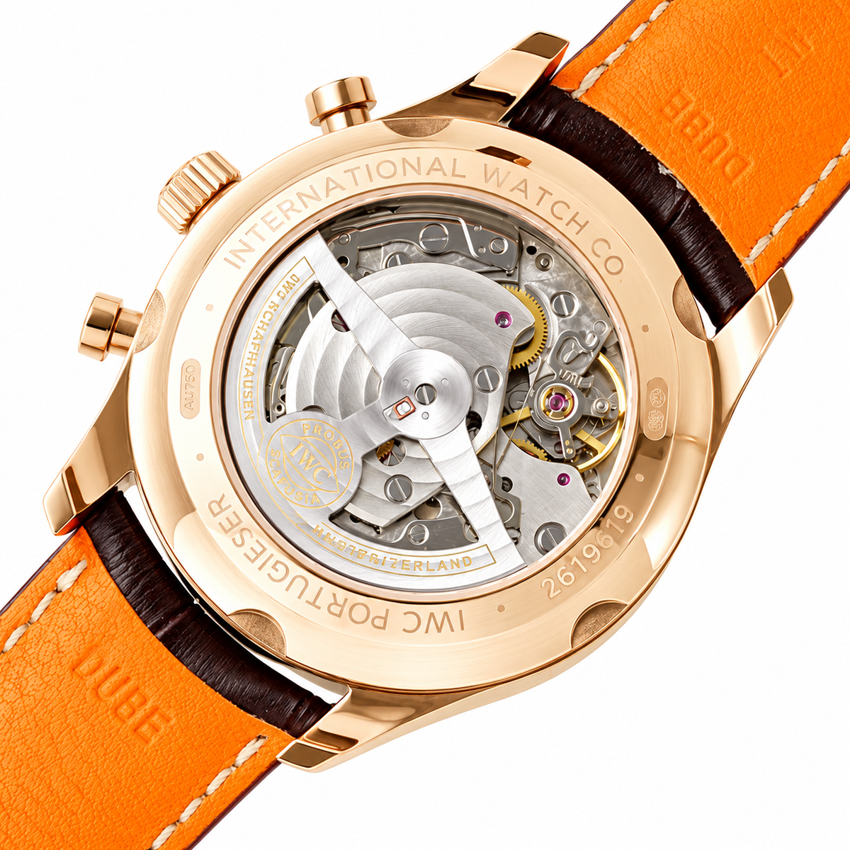 IWC Aquatimer 42mm Coral Reef Restoration Biologist Automatic Steel Watch